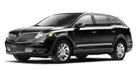 Executive professional transportation