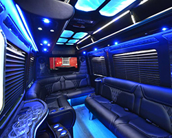 Executive MiniBus Chicago