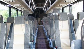 Chicago bus tours